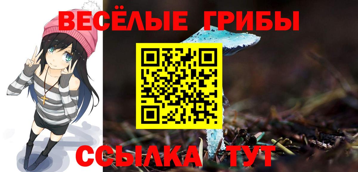 Галлюциногенные грибы мухоморы Котельники