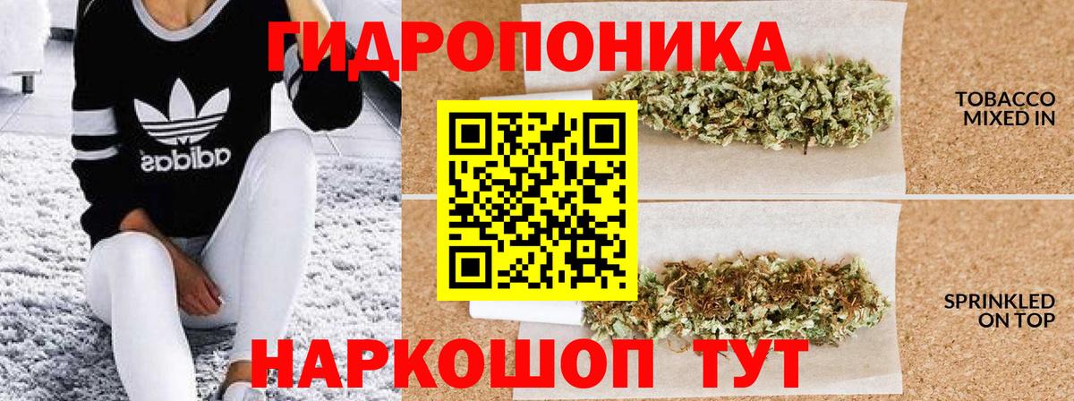 Каннабис гибрид  Каннабис сатива  Котельники  Вход с VPN  Канабис OG Kush 